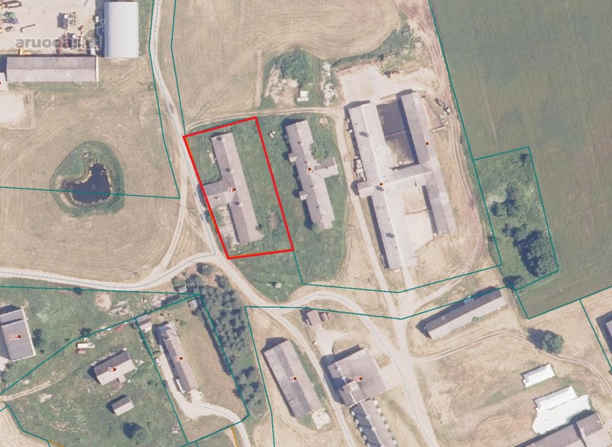 Parduodama ferma Kalnujų miestelyje, 1 km nuo