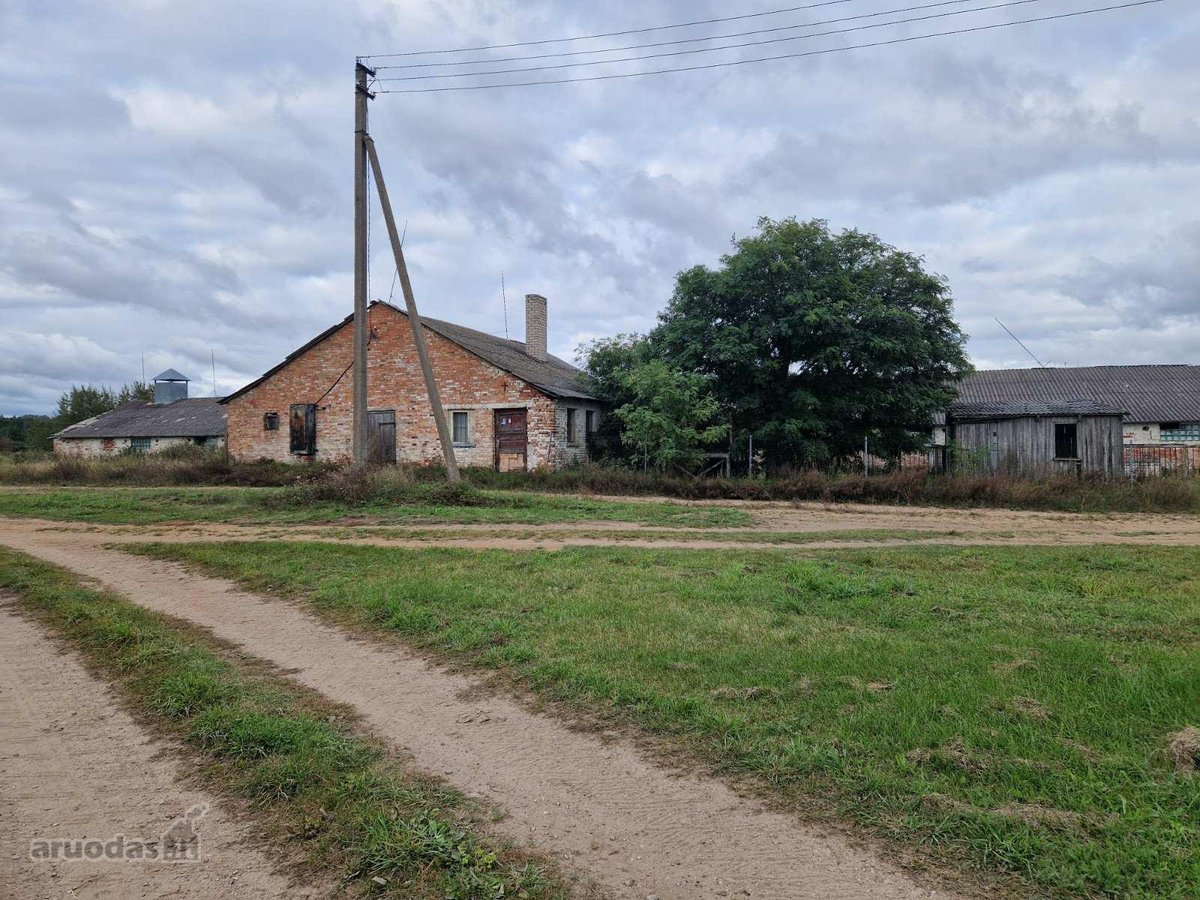 Parduodama ferma Kalnujų miestelyje, 1 km nuo - nuotraukos Nr. 4