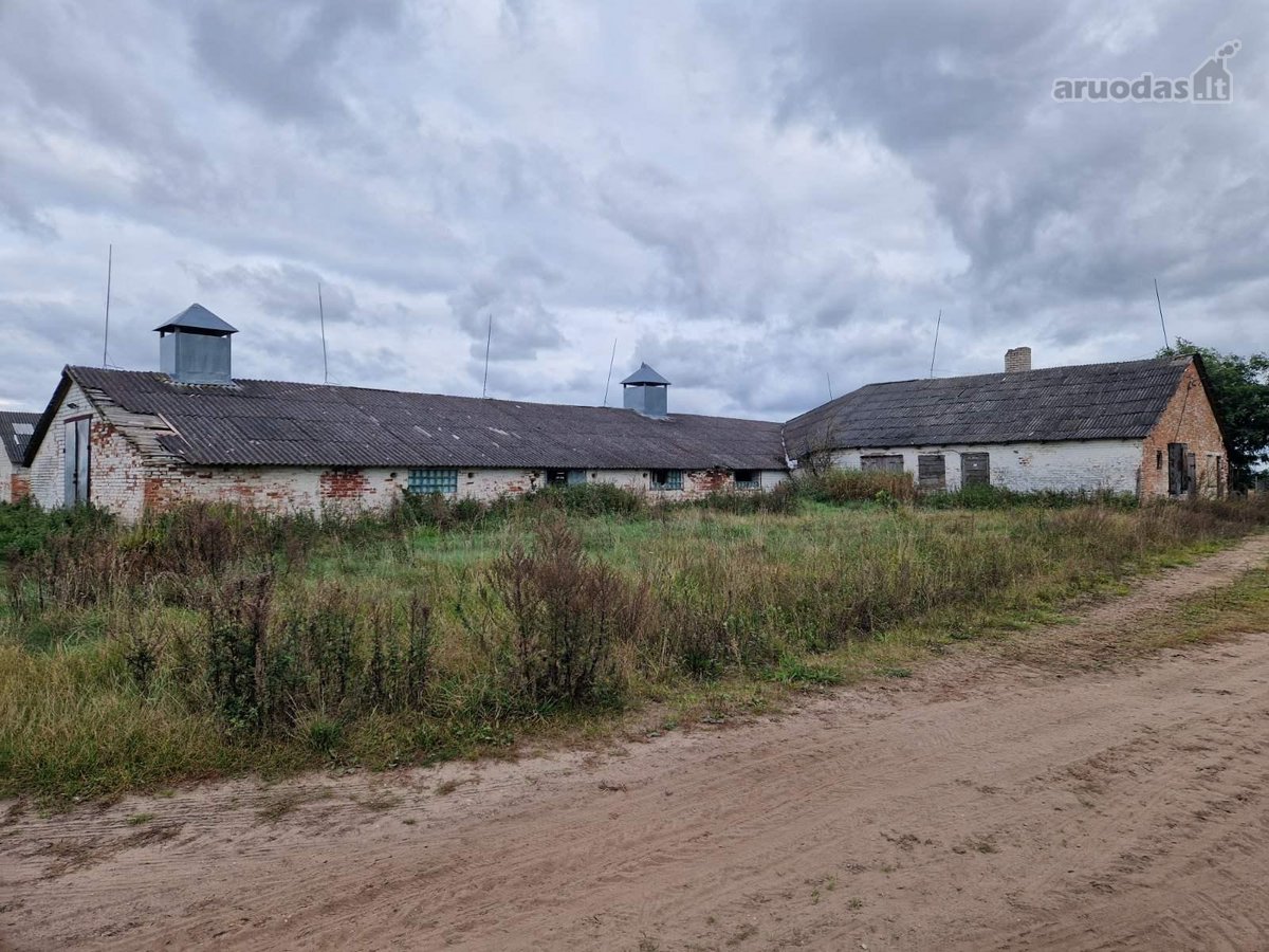 Parduodama ferma Kalnujų miestelyje, 1 km nuo - nuotraukos Nr. 7