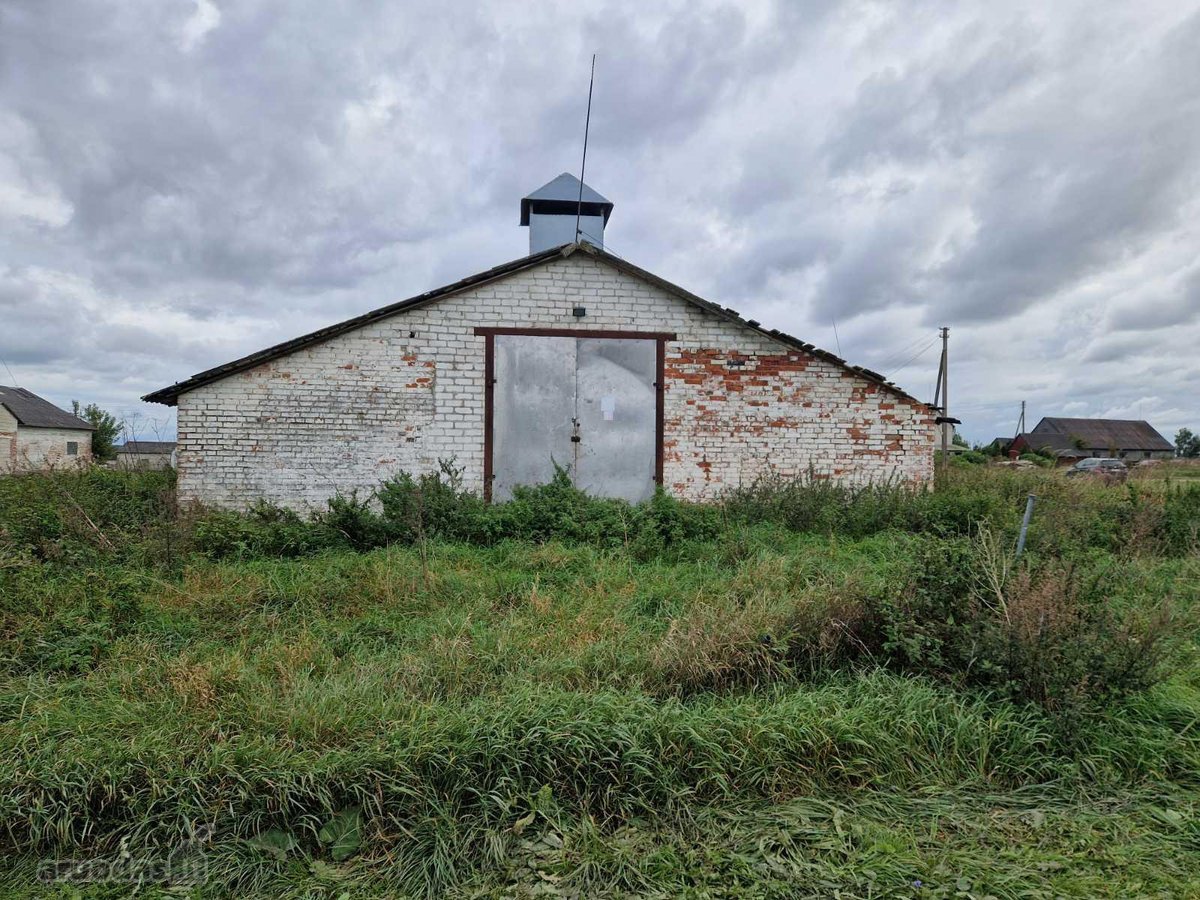 Parduodama ferma Kalnujų miestelyje, 1 km nuo - nuotraukos Nr. 9