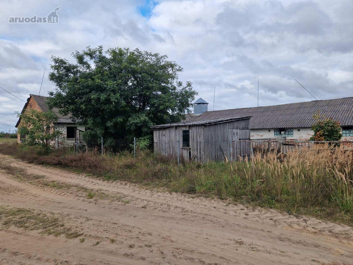 Parduodama ferma Kalnujų miestelyje, 1 km nuo - nuotraukos Nr. 21