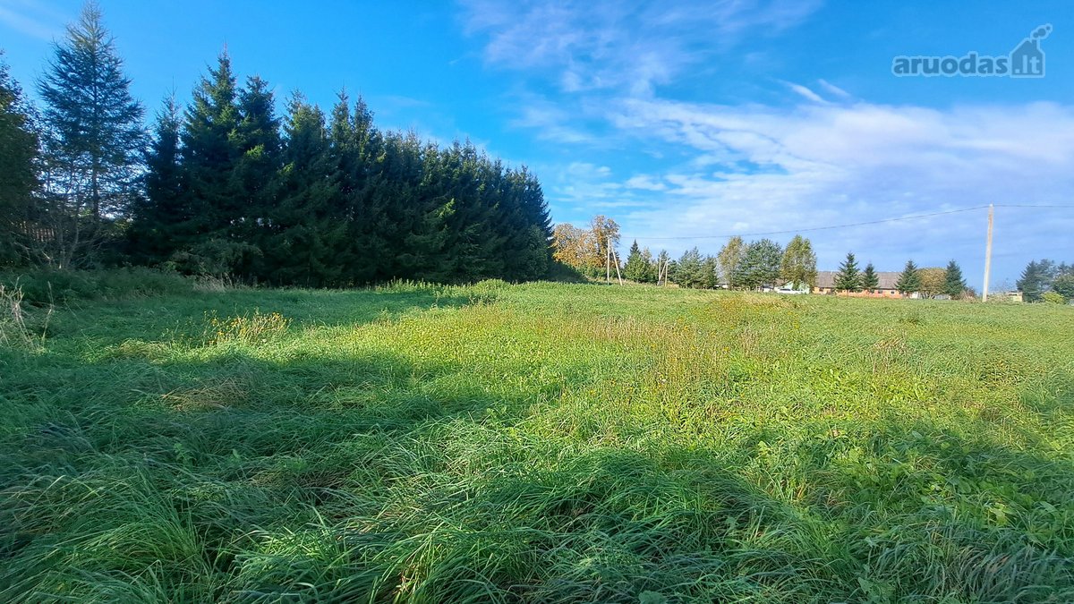 Gražioje ir ramioje vietoje Maciuičiuose - nuotraukos Nr. 5