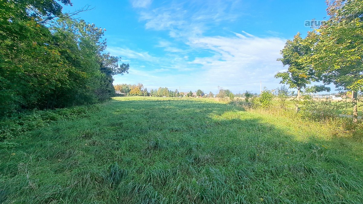 Gražioje ir ramioje vietoje Maciuičiuose - nuotraukos Nr. 7