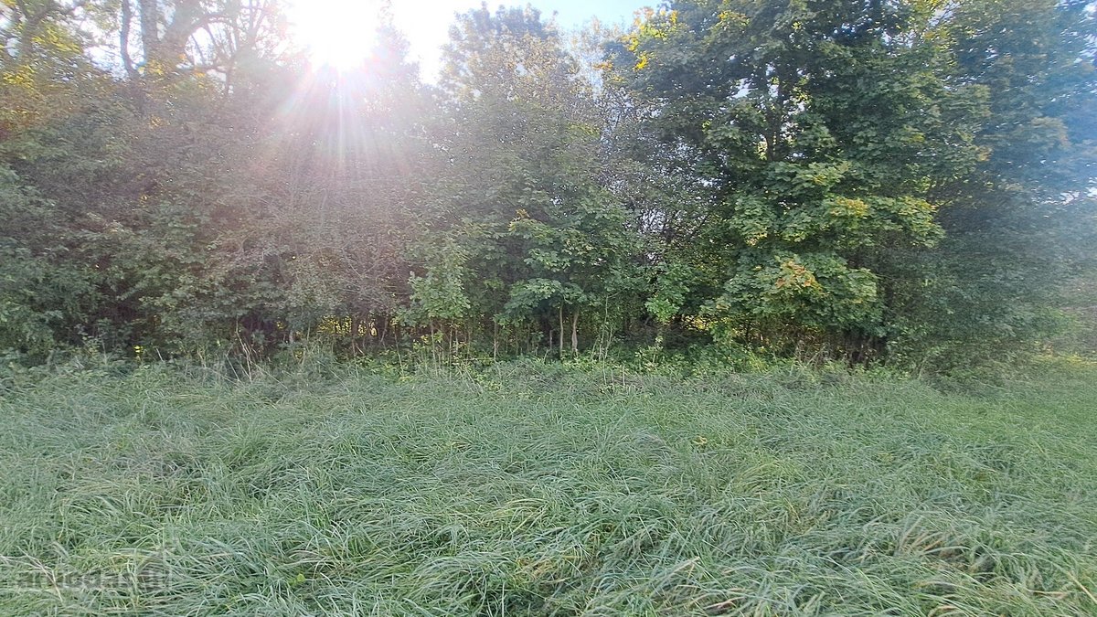 Gražioje ir ramioje vietoje Maciuičiuose - nuotraukos Nr. 10