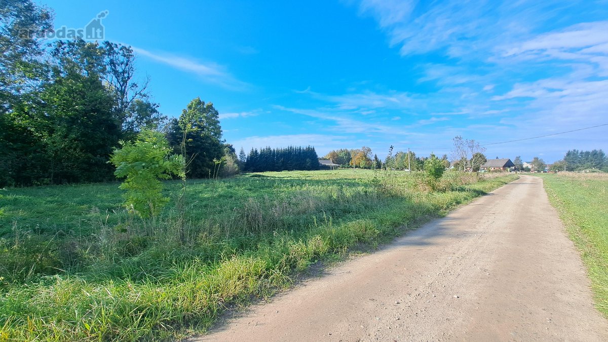 Gražioje ir ramioje vietoje Maciuičiuose - nuotraukos Nr. 8