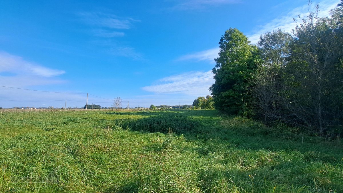 Gražioje ir ramioje vietoje Maciuičiuose - nuotraukos Nr. 9