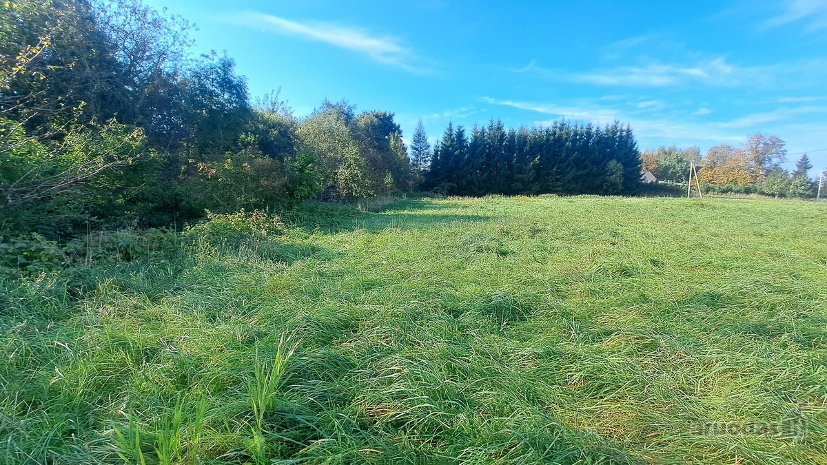 Gražioje ir ramioje vietoje Maciuičiuose - nuotraukos Nr. 13