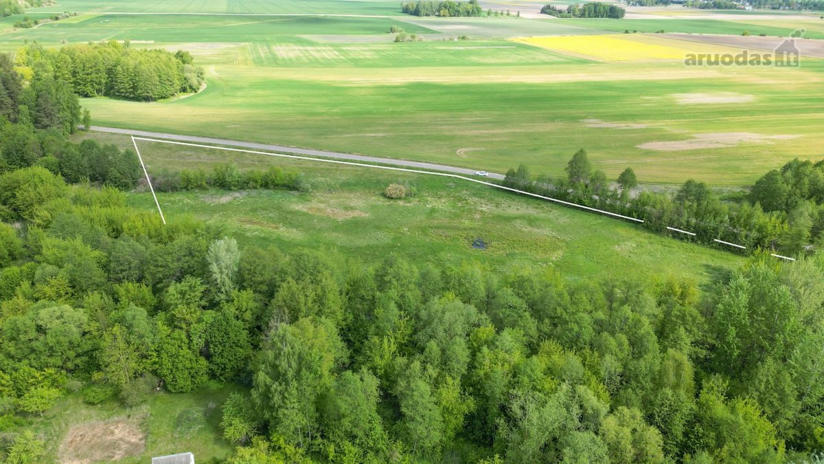 Parduodamas Žemės Sklypas Šakių Rajone, - nuotraukos Nr. 3