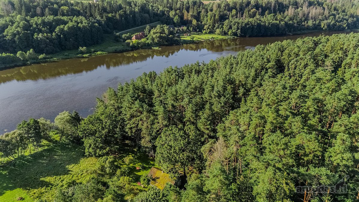 Birštono kurorte, šimtąmečių ąžuolų