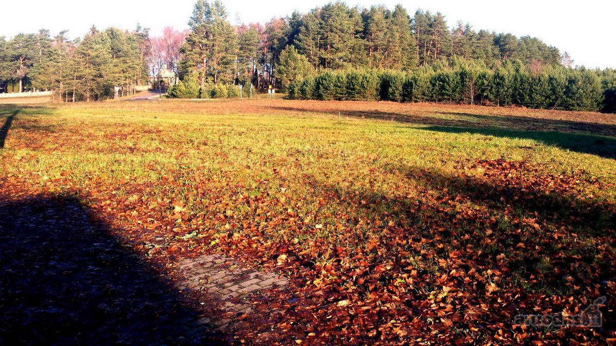Komercinės Paskirties Žemės Sklypas Su - nuotraukos Nr. 3