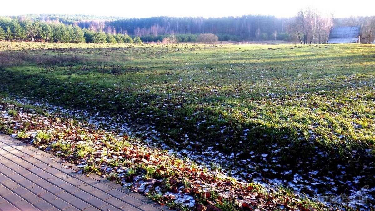 Komercinės Paskirties Žemės Sklypas Su - nuotraukos Nr. 5