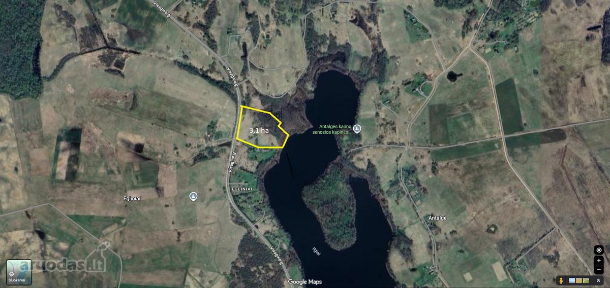 Parduodamas 3,1 ha žemės ūkio paskirties