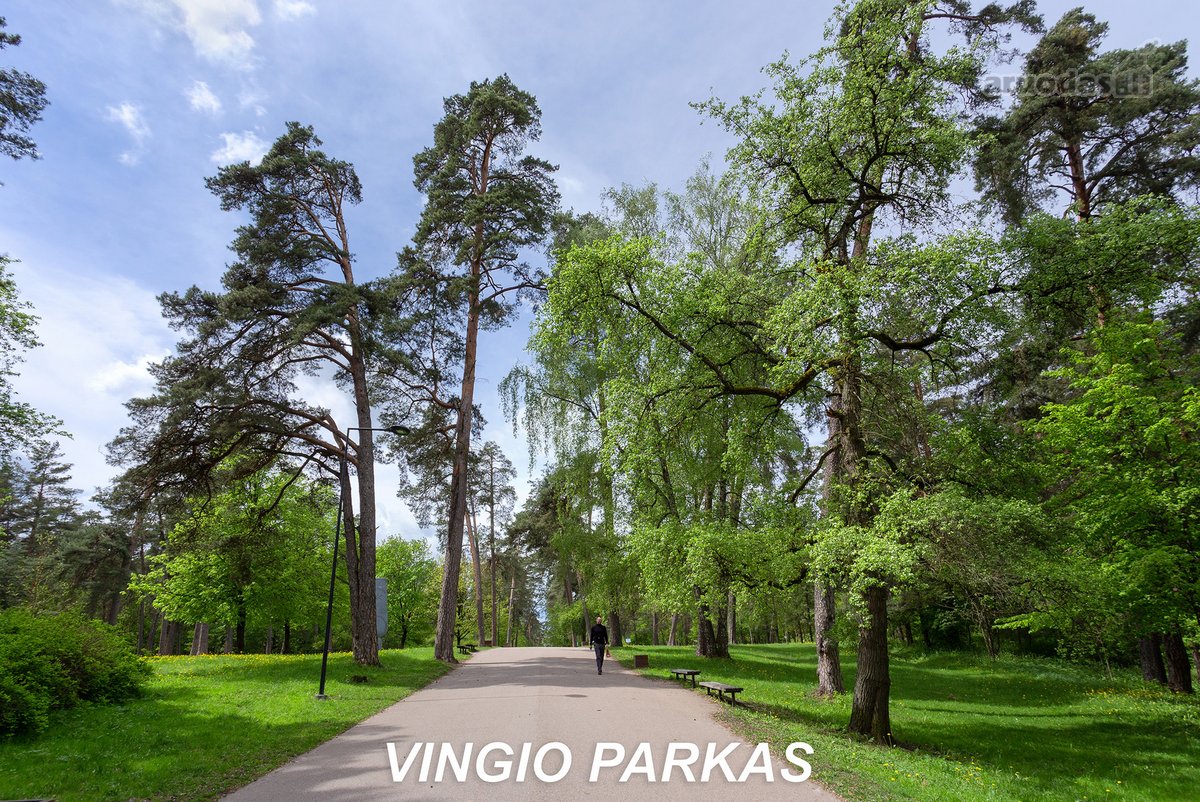 Nuomojamas Jaukus Butas Birutės G., Žvėryne. - nuotraukos Nr. 5