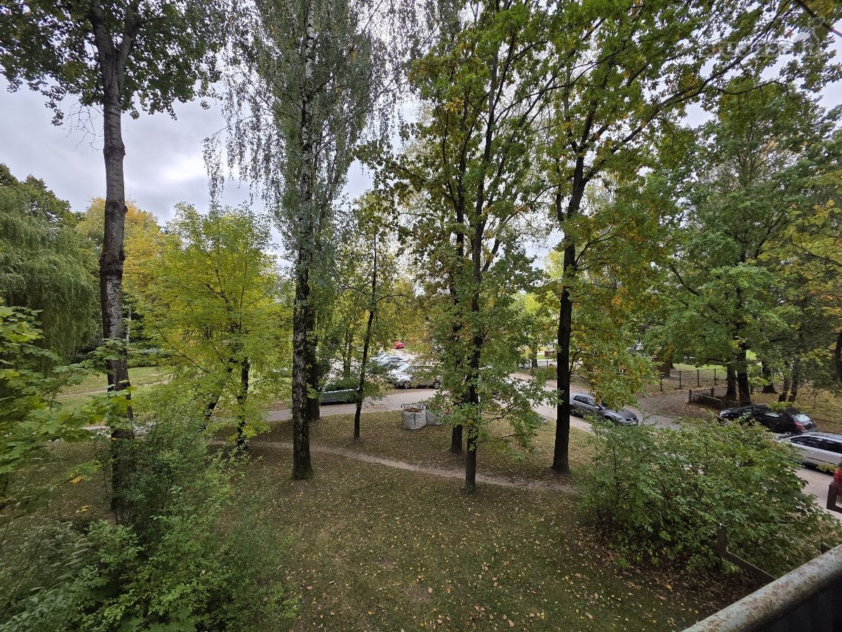 Nuomojamas 1k. butas, prie "Pasimatymo". - nuotraukos Nr. 9