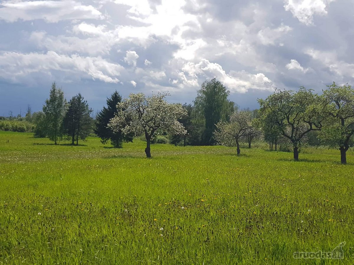 Parduodamas 4,18 Ha Sklypas Su Gyvenamuoju - nuotraukos Nr. 5