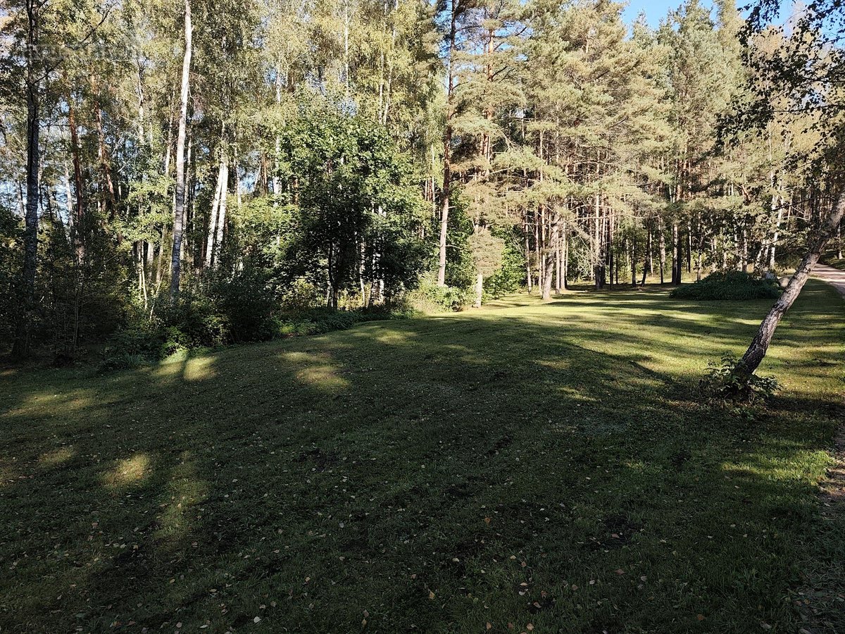 Parduodamas sklypas Molėtuose prie Bebrusų - nuotraukos Nr. 3