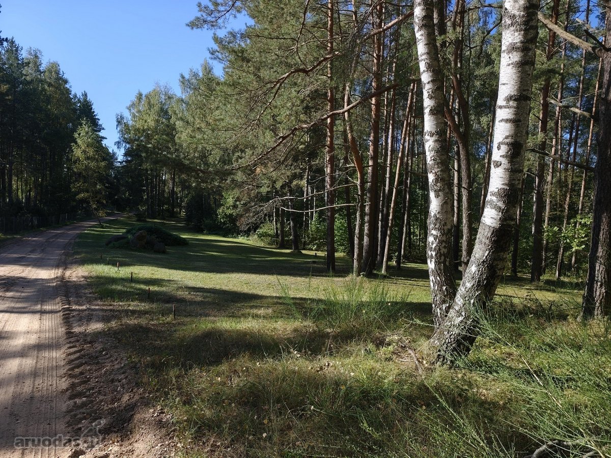 Parduodamas sklypas Molėtuose prie Bebrusų - nuotraukos Nr. 5
