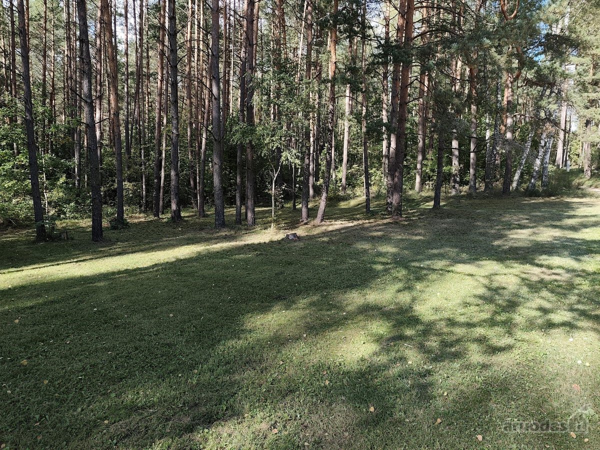 Parduodamas sklypas Molėtuose prie Bebrusų - nuotraukos Nr. 7
