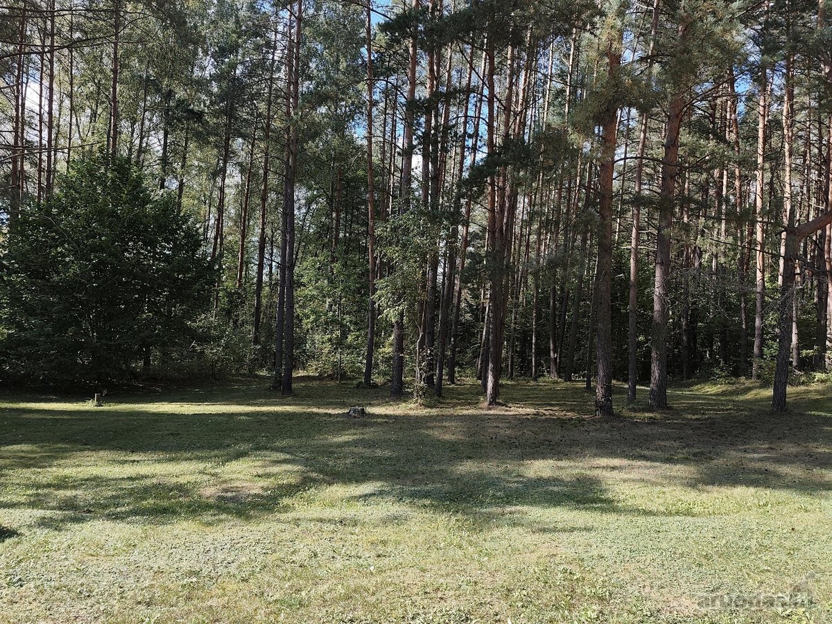 Parduodamas sklypas Molėtuose prie Bebrusų - nuotraukos Nr. 8