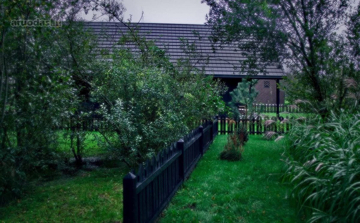 “Kuršių krantas“– tai vieta, kur tradicijos - nuotraukos Nr. 15