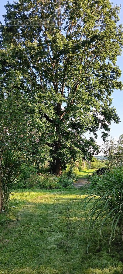 Skirsnemunėje parduodamas dviejų aukštų - nuotraukos Nr. 35