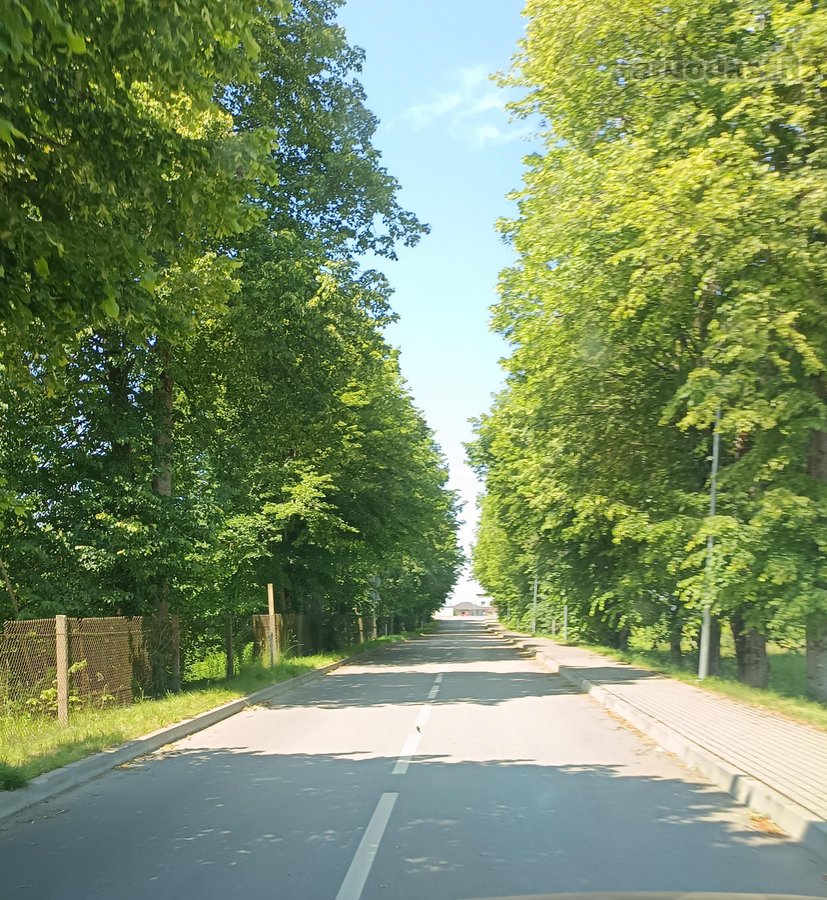 Ar norėtumėte gyventi prie pat miško, naujai - nuotraukos Nr. 2
