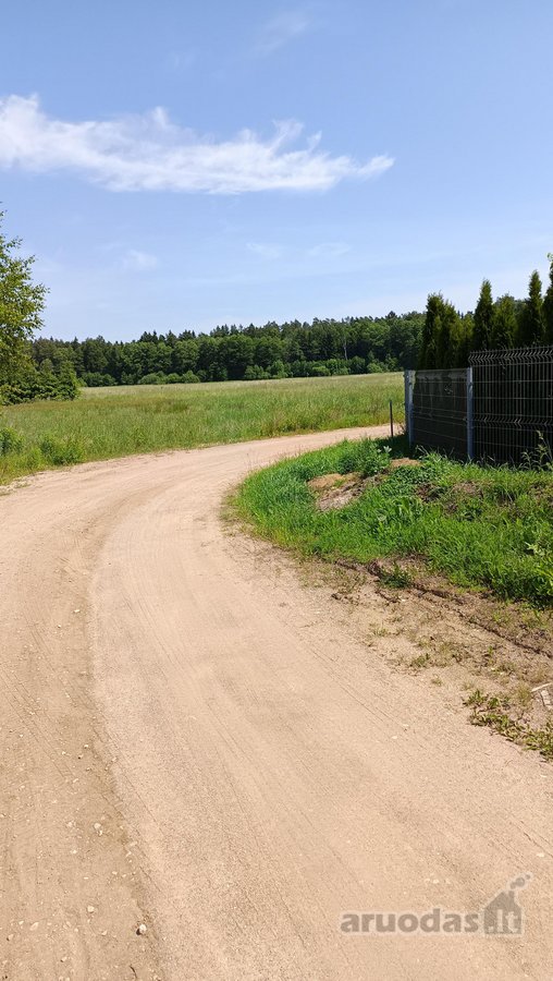 Ar norėtumėte gyventi prie pat miško, naujai - nuotraukos Nr. 6