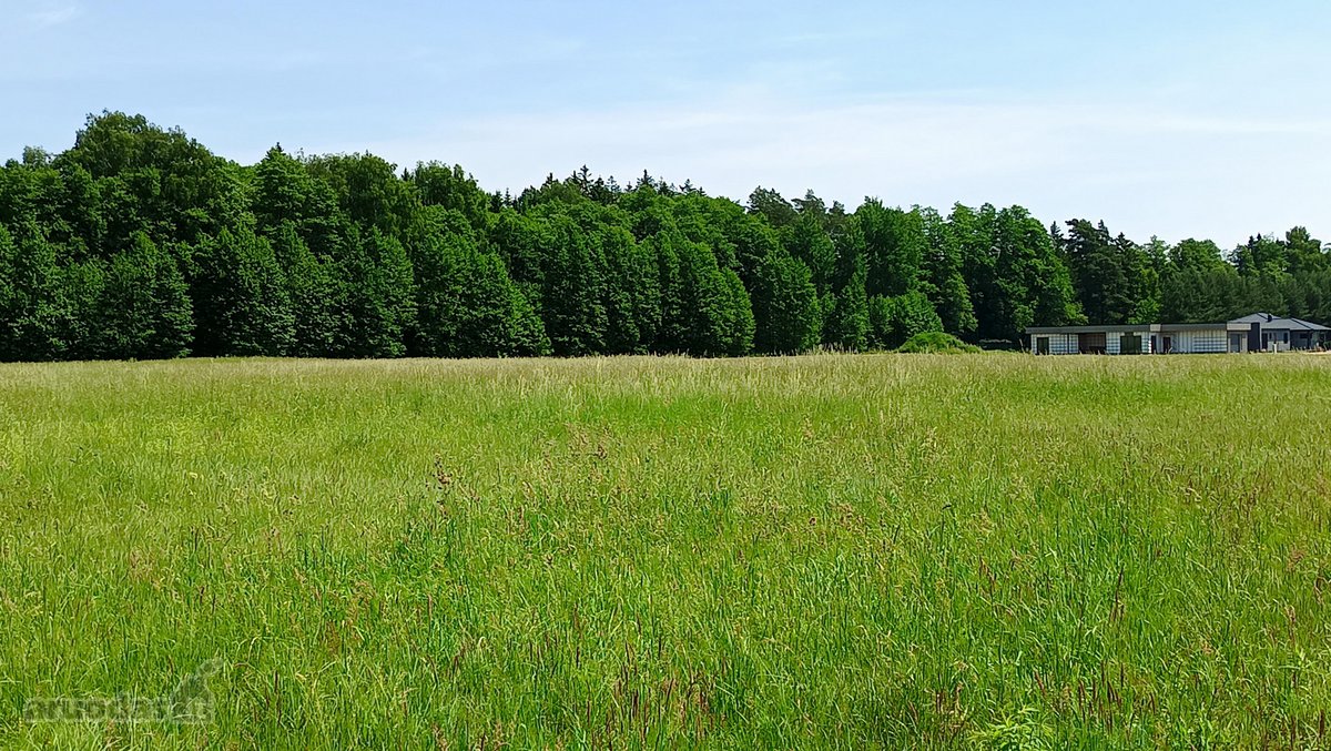 Ar norėtumėte gyventi prie pat miško, naujai - nuotraukos Nr. 4