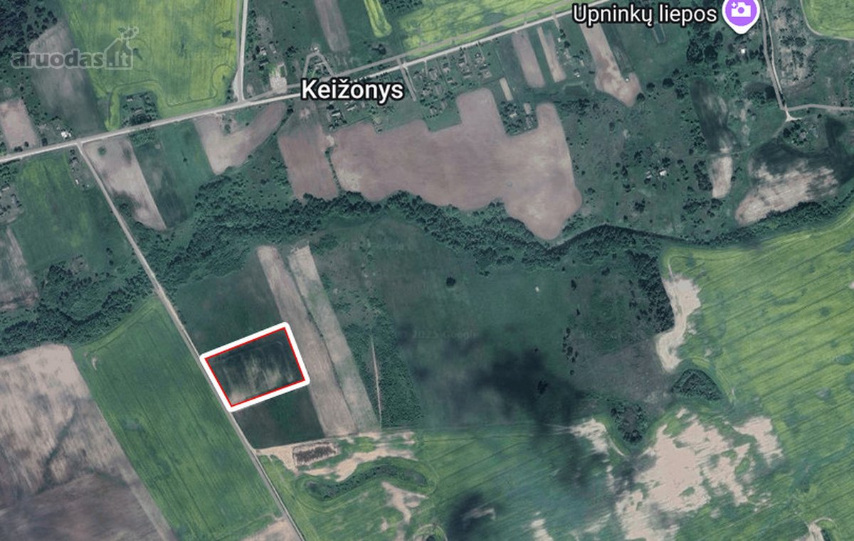 Išnuomojamas 7,8175 ha žemės ūkio sklypas