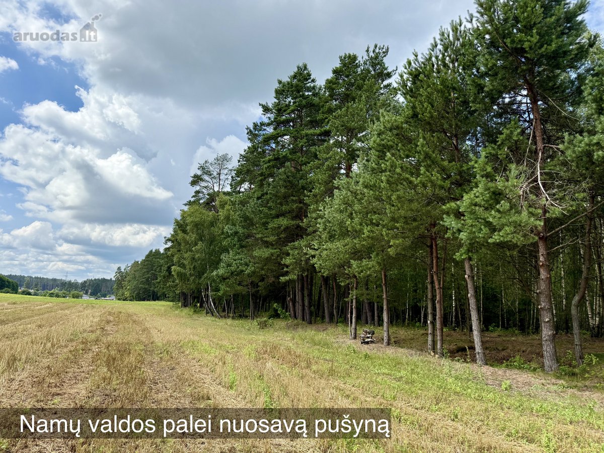 Su Nuosavu Pušynu Kieme, su trifaziu Elektros