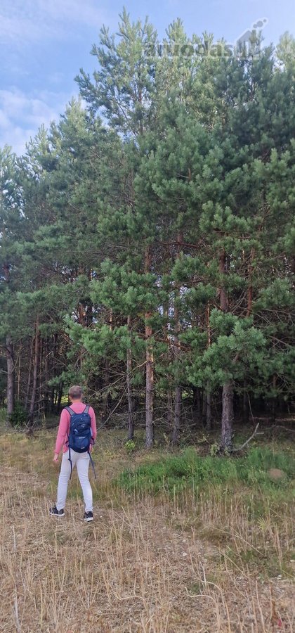 Parduodamas Sklypas Sodybai Aukštadvario - nuotraukos Nr. 5
