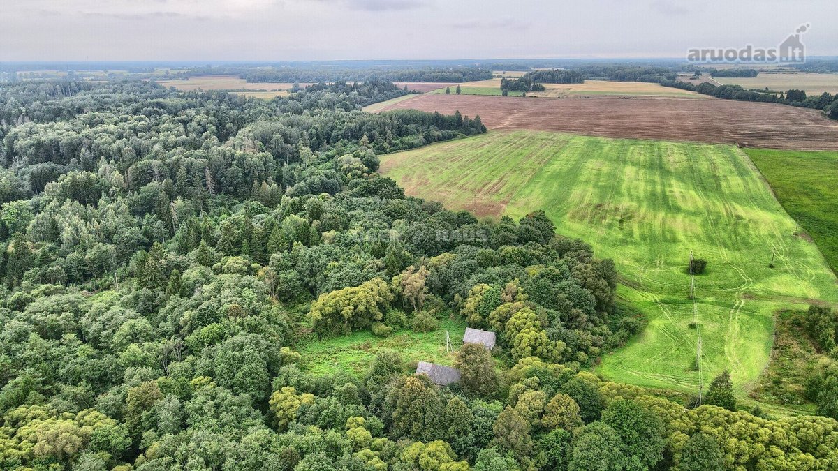 Parduodamas 16 arų sklypas namui statyti - nuotraukos Nr. 3
