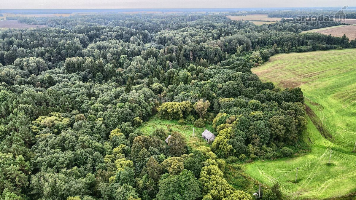 Parduodamas 16 arų sklypas namui statyti - nuotraukos Nr. 4