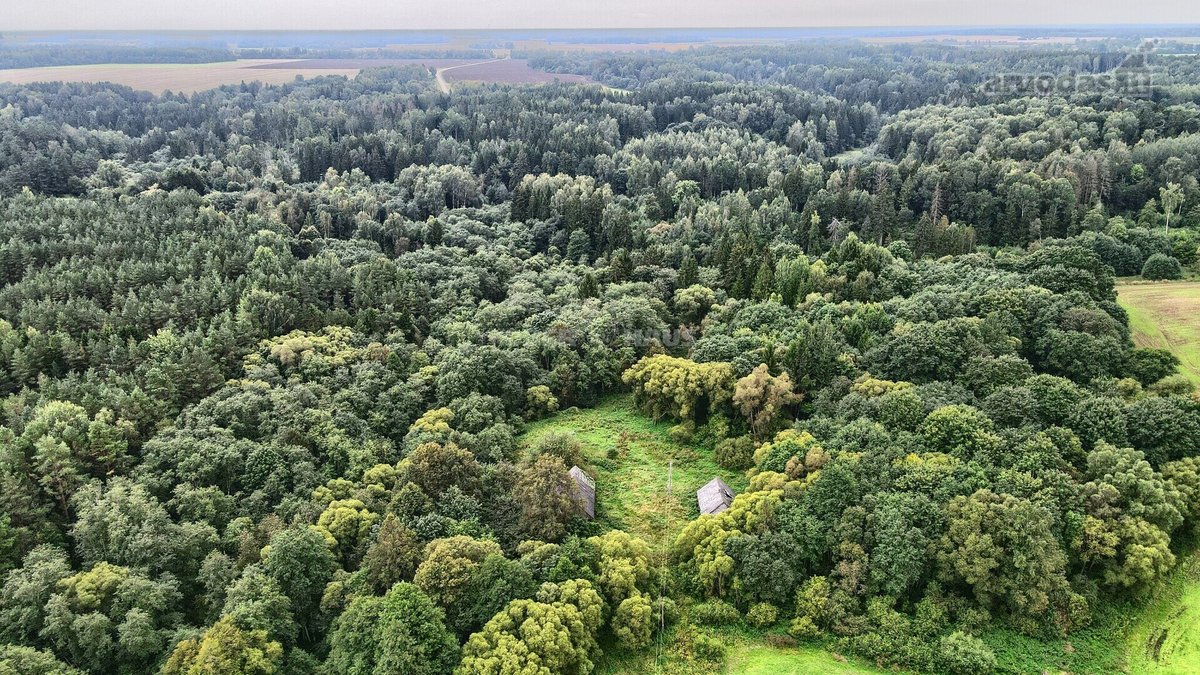 Parduodamas 16 arų sklypas namui statyti - nuotraukos Nr. 5