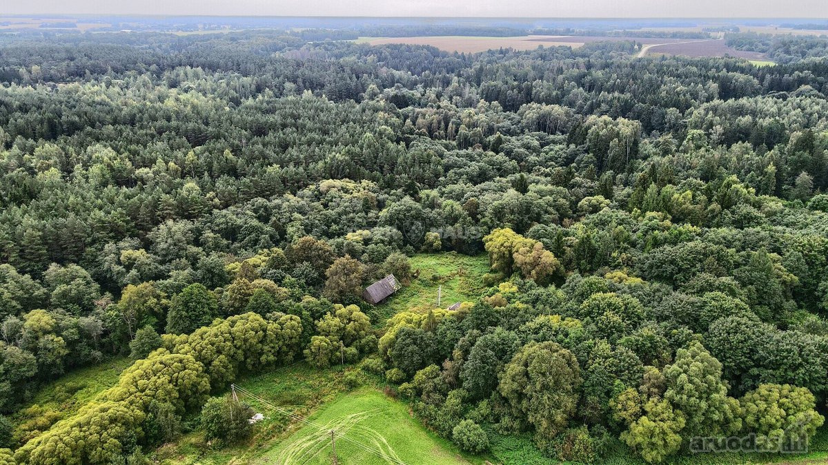 Parduodamas 16 arų sklypas namui statyti - nuotraukos Nr. 6
