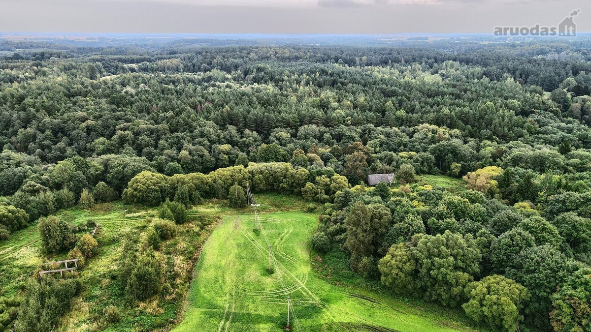 Parduodamas 16 arų sklypas namui statyti - nuotraukos Nr. 16