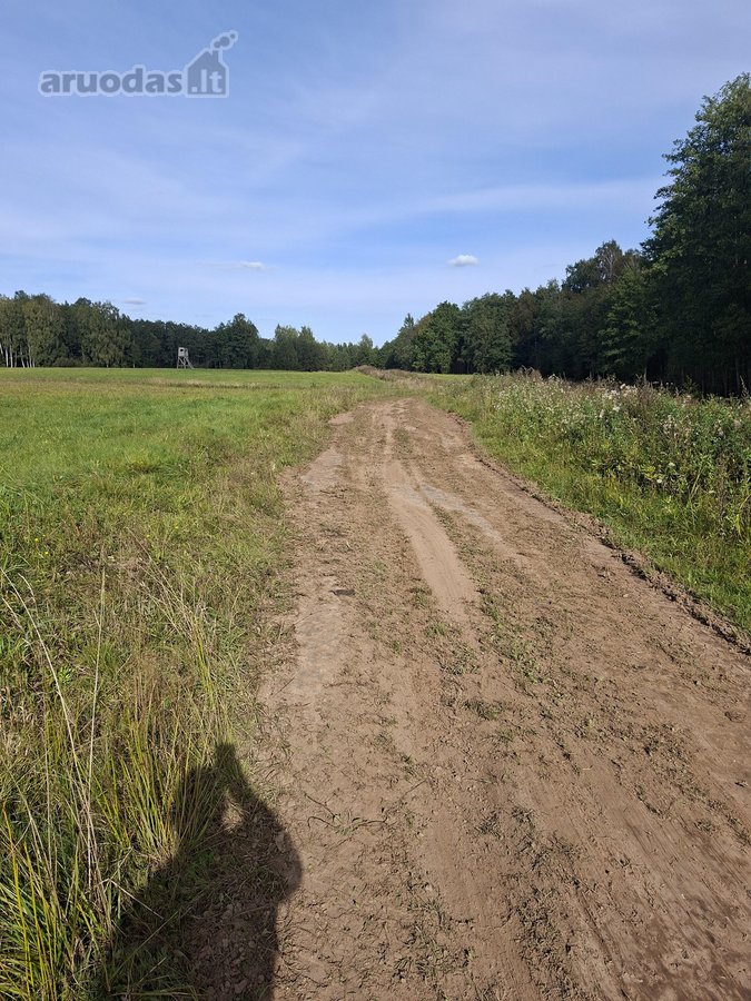 Parduodamas didelis puikus sklypas prie ezero - nuotraukos Nr. 3