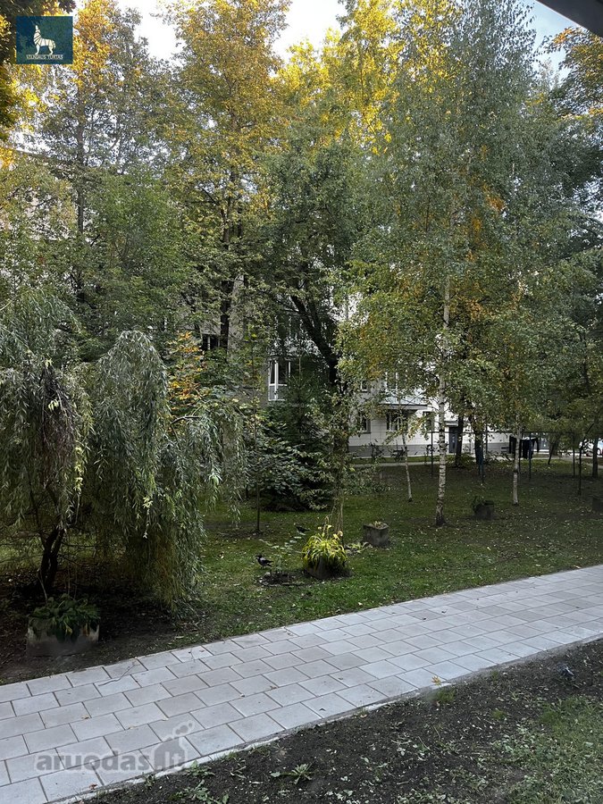 Jaukus 2 Kambarių Butas Renovuotame Name – - nuotraukos Nr. 12