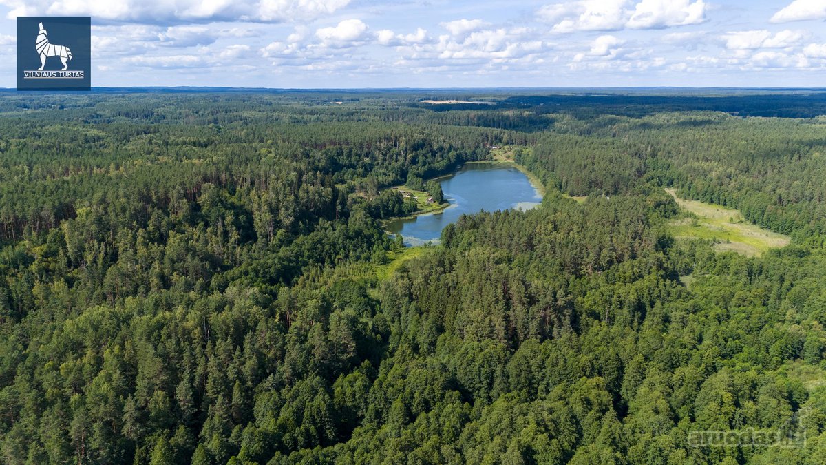Parduodamas Namų Valdos Sklypas Merkinės - nuotraukos Nr. 8