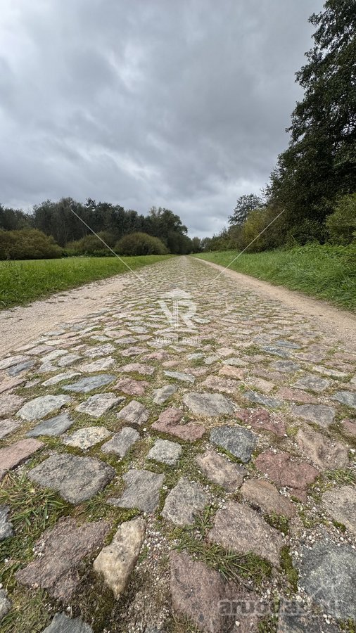 Parduodamas 3,4371 ha žemės sklypas - nuotraukos Nr. 5