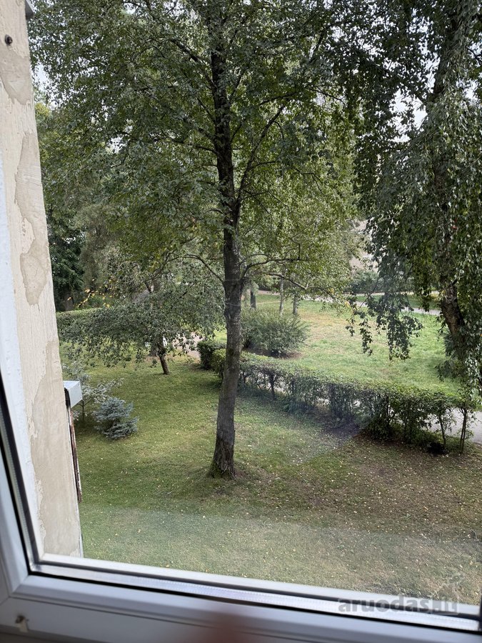 Nuomojamas šviesus ir jaukus 2 kambarių butas - nuotraukos Nr. 12