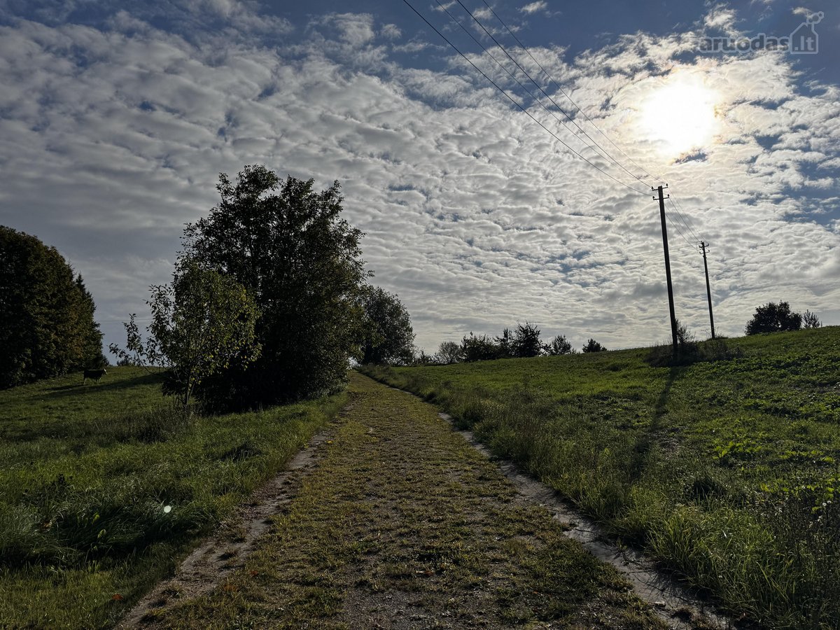 Parduodama jauki sodyba netoli Prienų – vieta - nuotraukos Nr. 5
