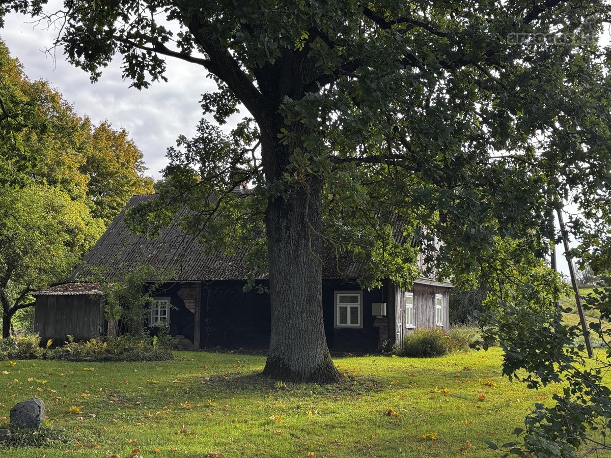 Parduodama jauki sodyba netoli Prienų – vieta