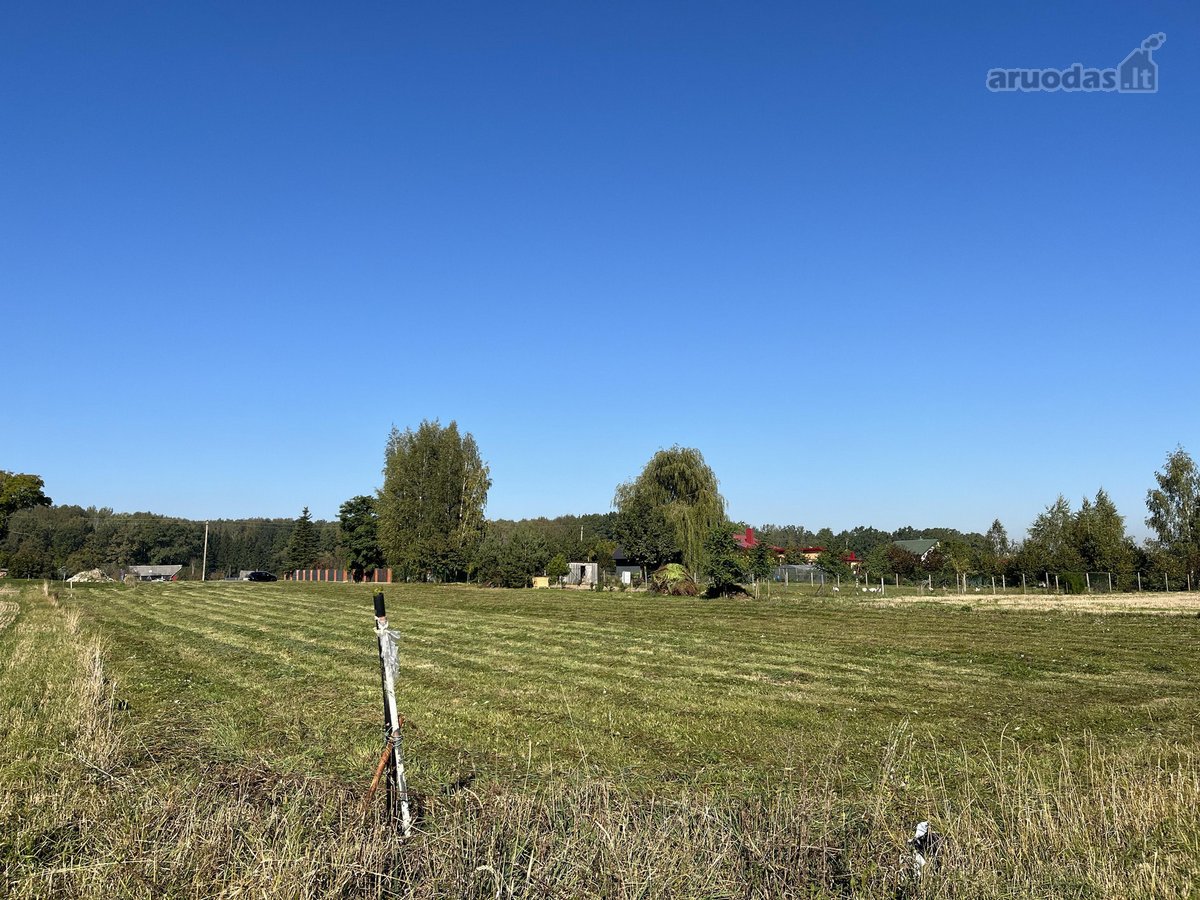 Parduodamas 29,56 a sklypas vienbučių ir - nuotraukos Nr. 3
