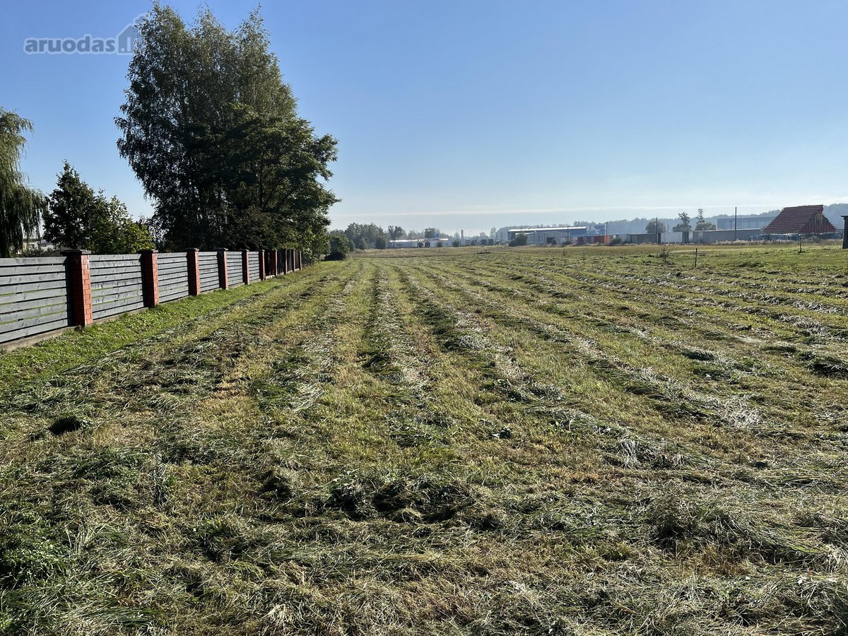 Parduodamas 29,56 a sklypas vienbučių ir - nuotraukos Nr. 4