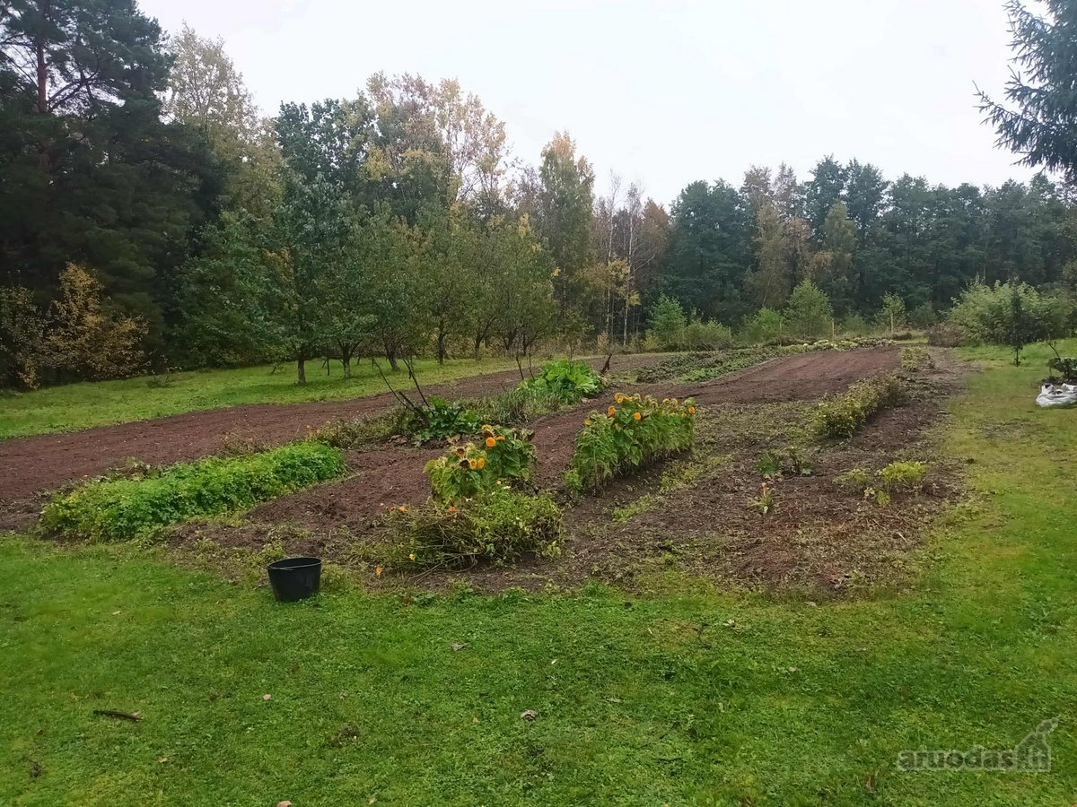 Parduodamas Namas Su 0,7260 ha Sklypu - nuotraukos Nr. 31