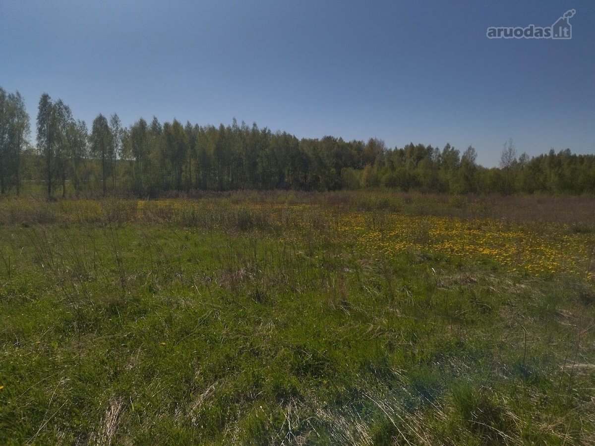 Parduodami Namų Valdos Sklypai Naujai - nuotraukos Nr. 12