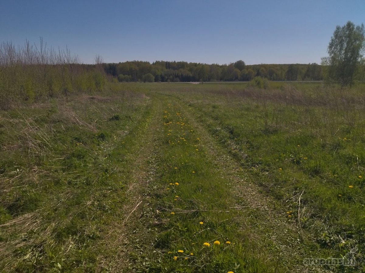 Parduodami Namų Valdos Sklypai Naujai - nuotraukos Nr. 13
