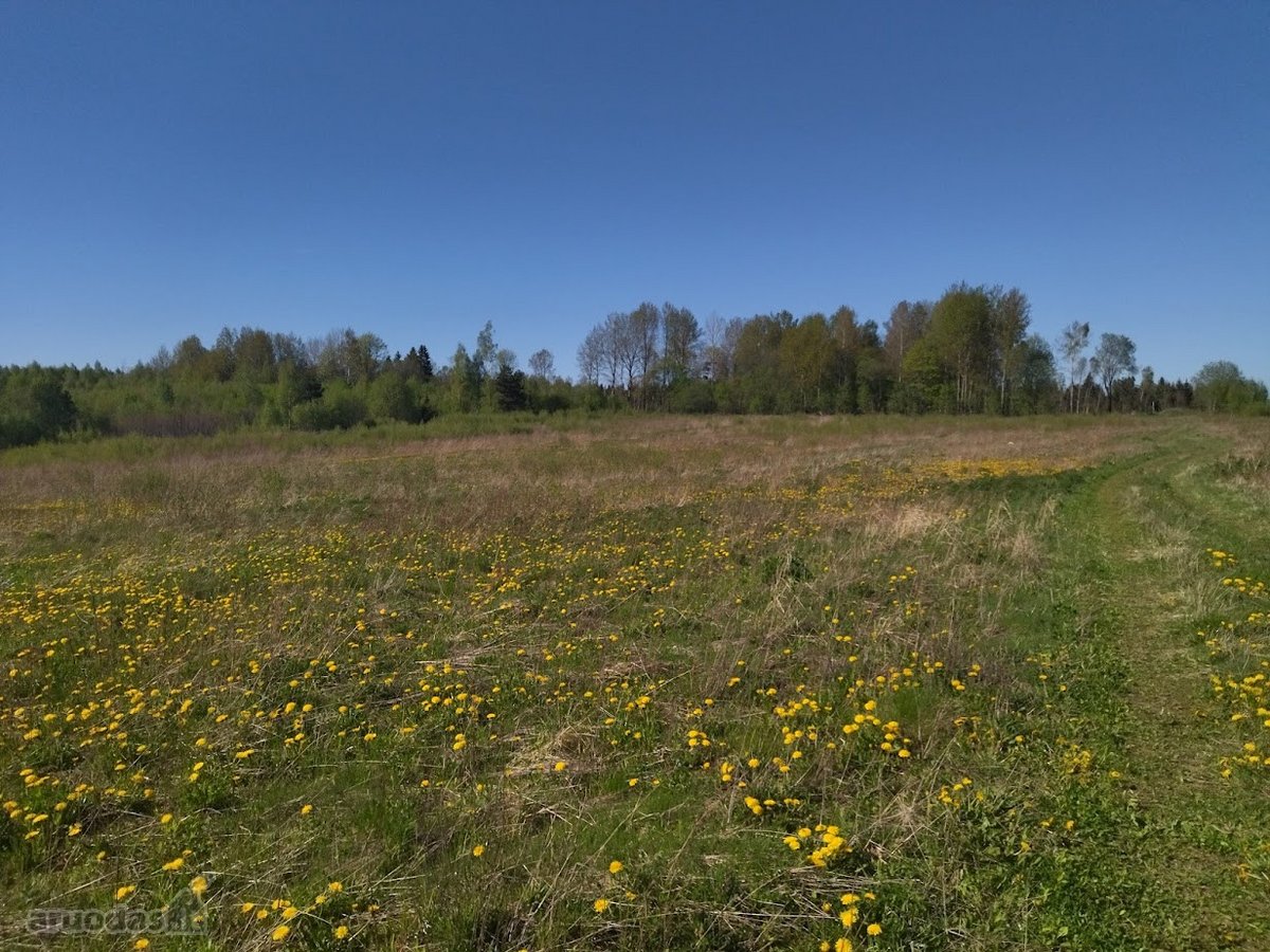 Parduodami Namų Valdos Sklypai Naujai - nuotraukos Nr. 14