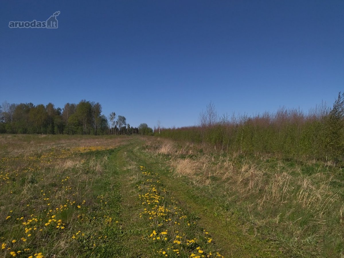 Parduodami Namų Valdos Sklypai Naujai - nuotraukos Nr. 15